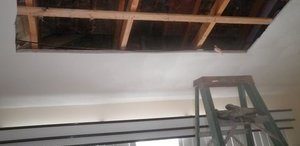 Ceiling Remediation Job After Upstairs Leak Caused Water Damage and Mold