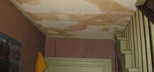 Water Damage and Mold Growth on Ceiling