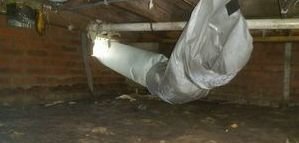 Water Damage Restoration and Mold Cleanup Of Subfloor