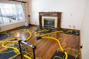 Water damage equipment